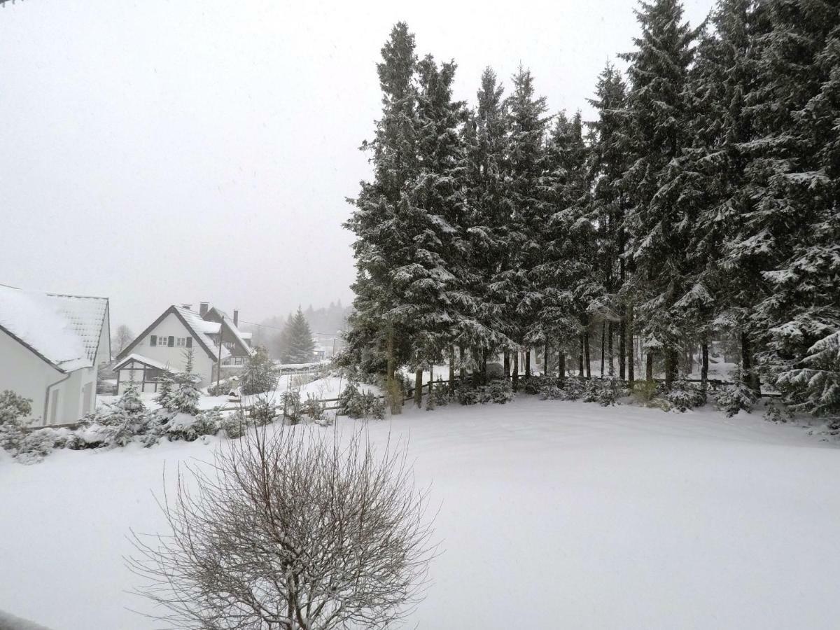 Fewo Kaeppchen Winterberg Zewnętrze zdjęcie